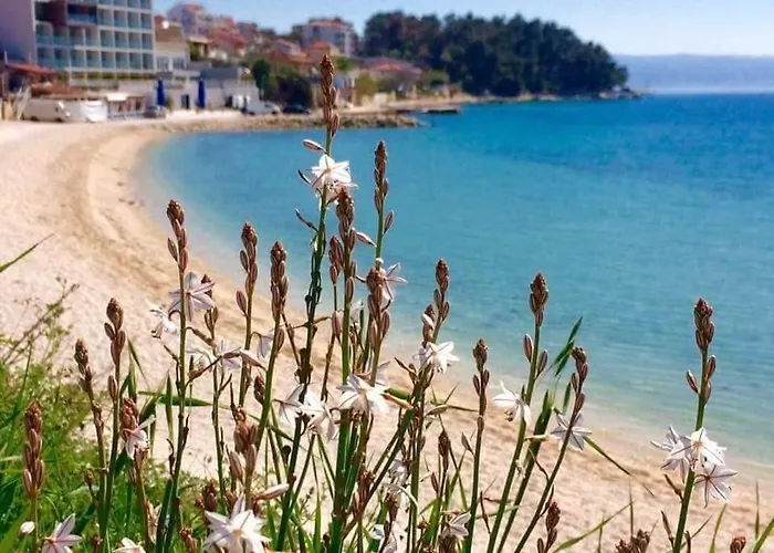 Grand Mirela *